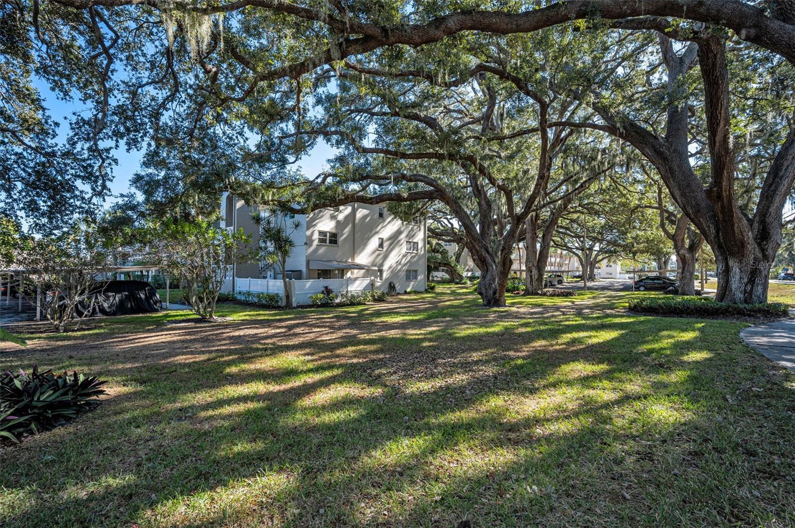 Image 40 of 72 For 841 Patricia Avenue 306