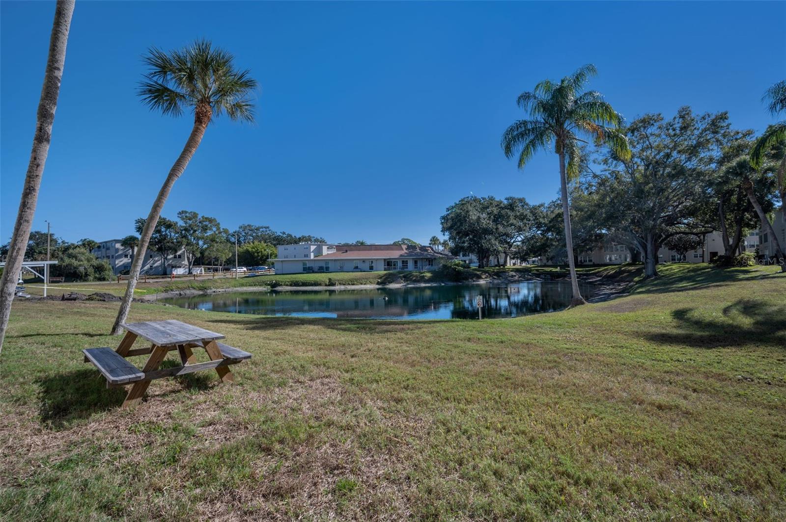 Image 45 of 72 For 841 Patricia Avenue 306