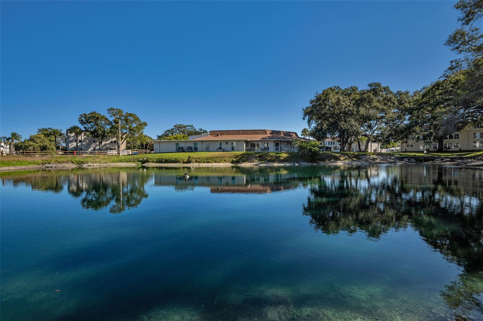 Image 46 of 72 For 841 Patricia Avenue 306