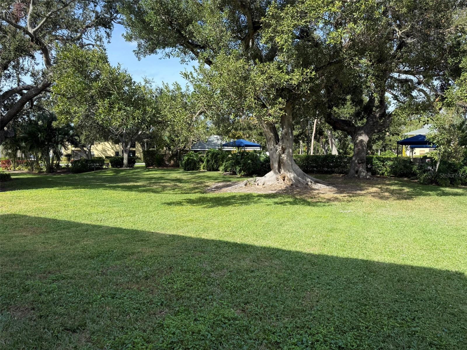 Image 45 of 81 For 3001 58th Avenue S 1101