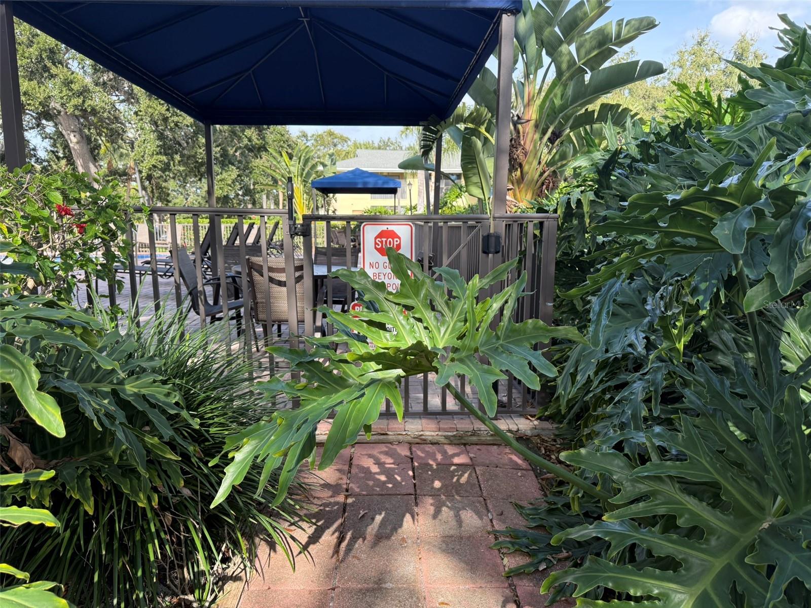 Image 46 of 81 For 3001 58th Avenue S 1101