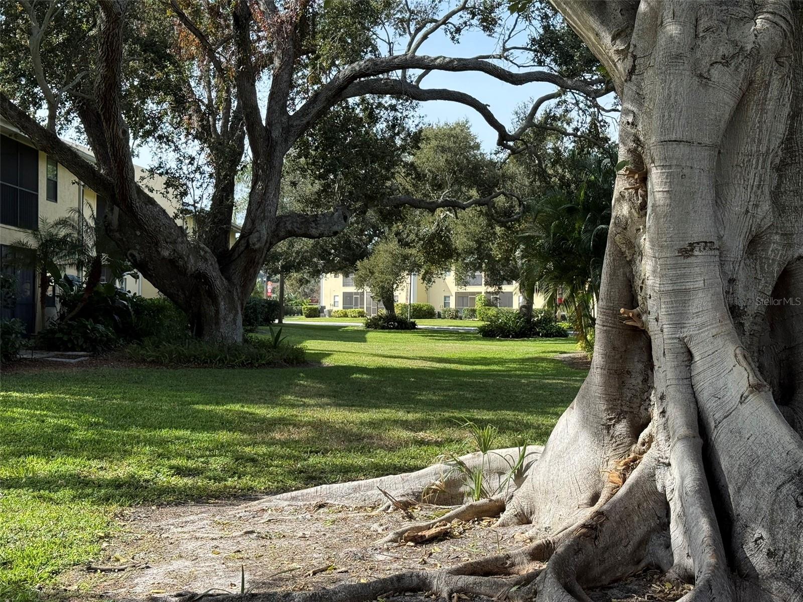 Image 47 of 81 For 3001 58th Avenue S 1101