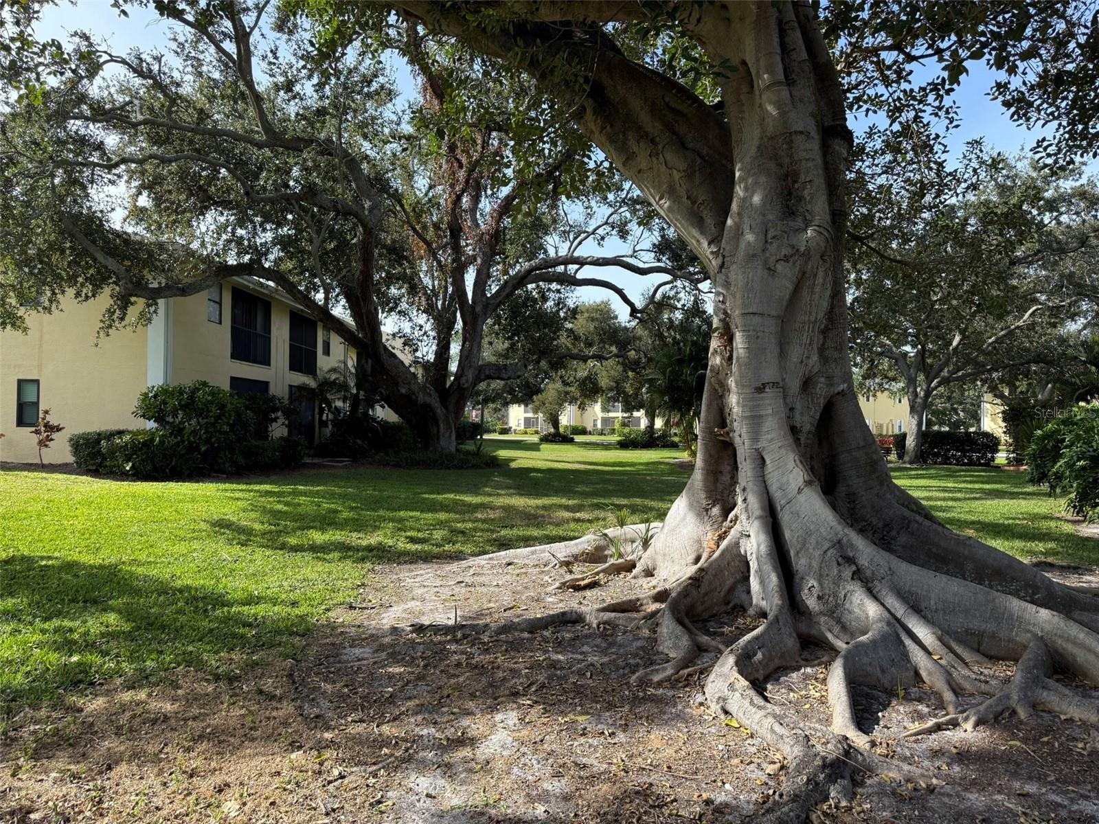 Image 48 of 81 For 3001 58th Avenue S 1101