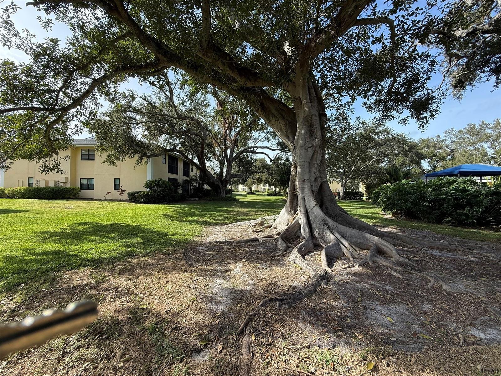 Image 49 of 81 For 3001 58th Avenue S 1101