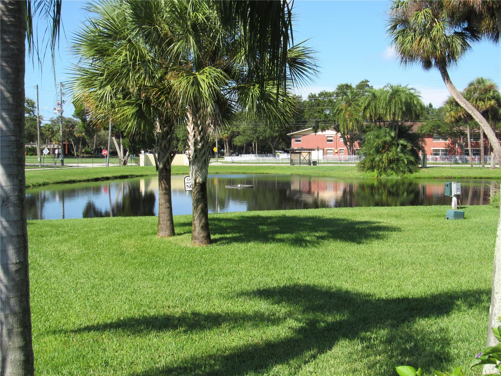 Image 56 of 81 For 3001 58th Avenue S 1101