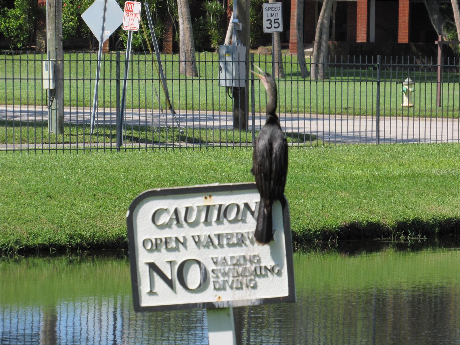 Image 58 of 81 For 3001 58th Avenue S 1101