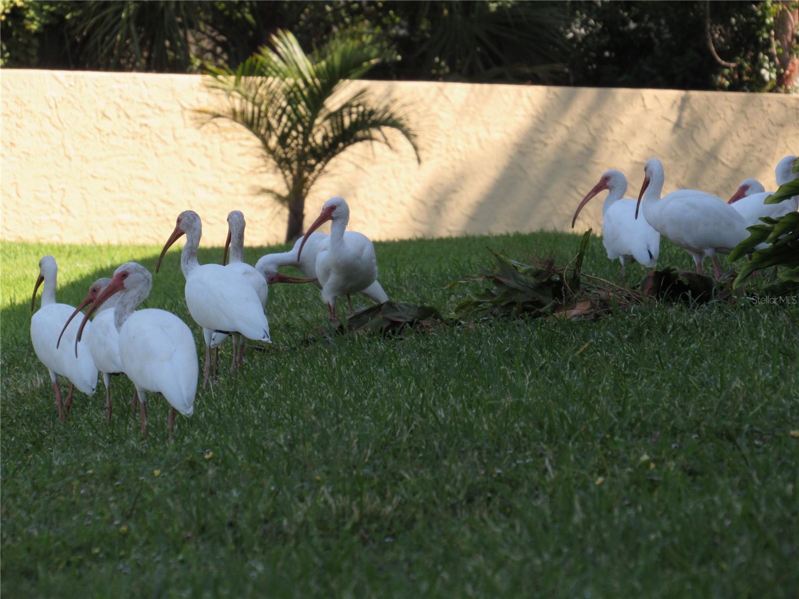 Image 62 of 81 For 3001 58th Avenue S 1101