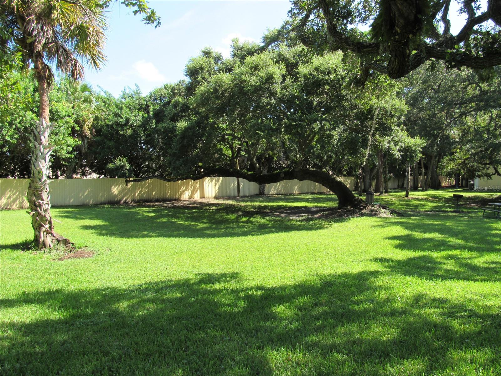 Image 64 of 81 For 3001 58th Avenue S 1101