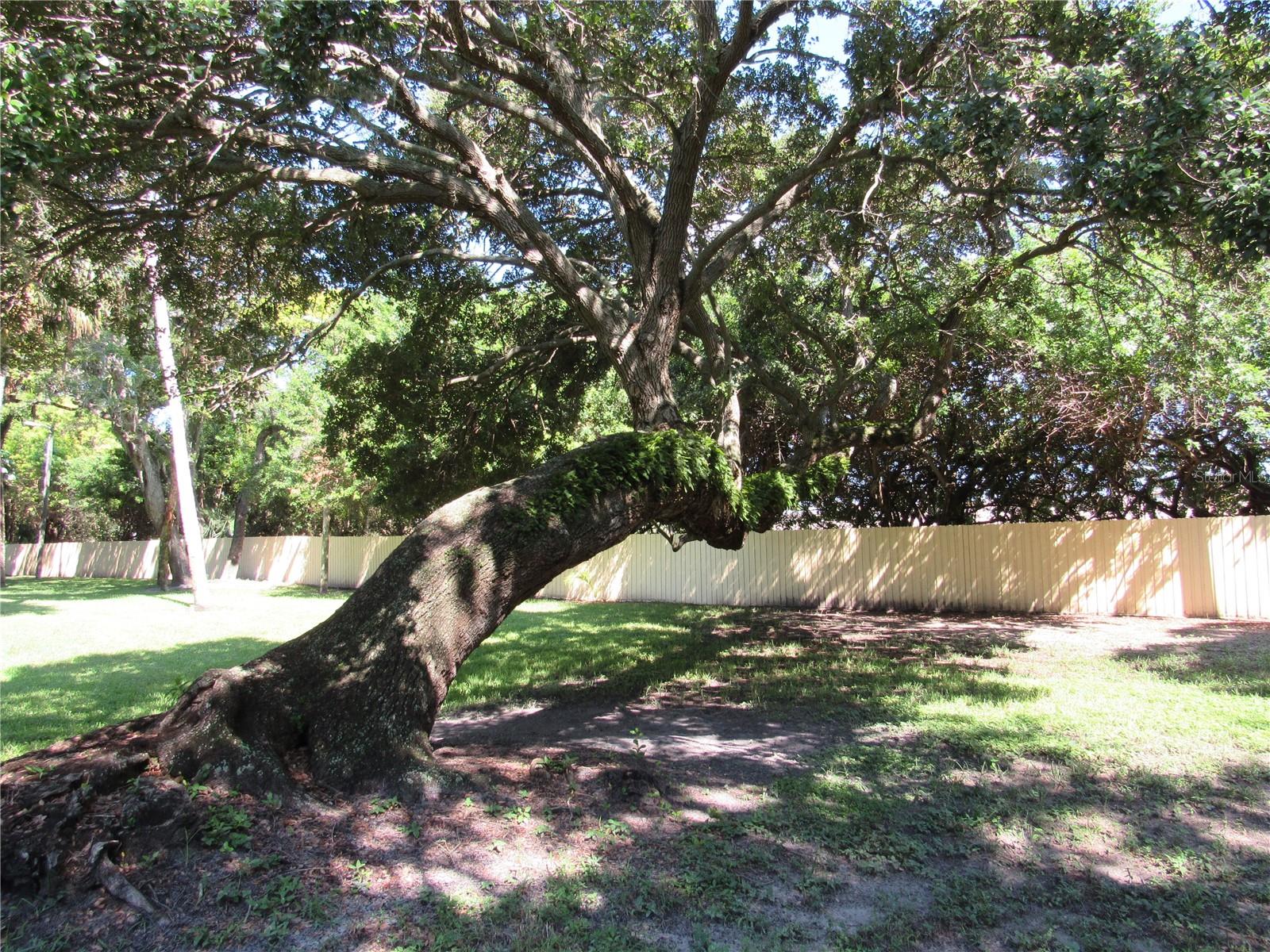 Image 65 of 81 For 3001 58th Avenue S 1101