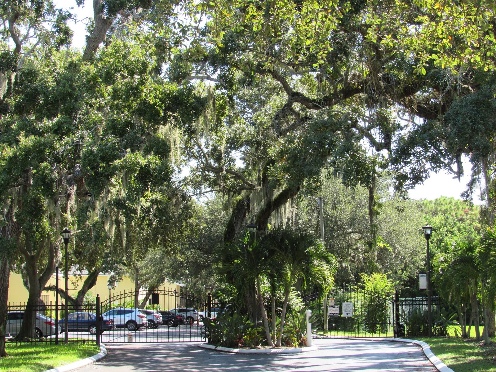 Image 77 of 81 For 3001 58th Avenue S 1101