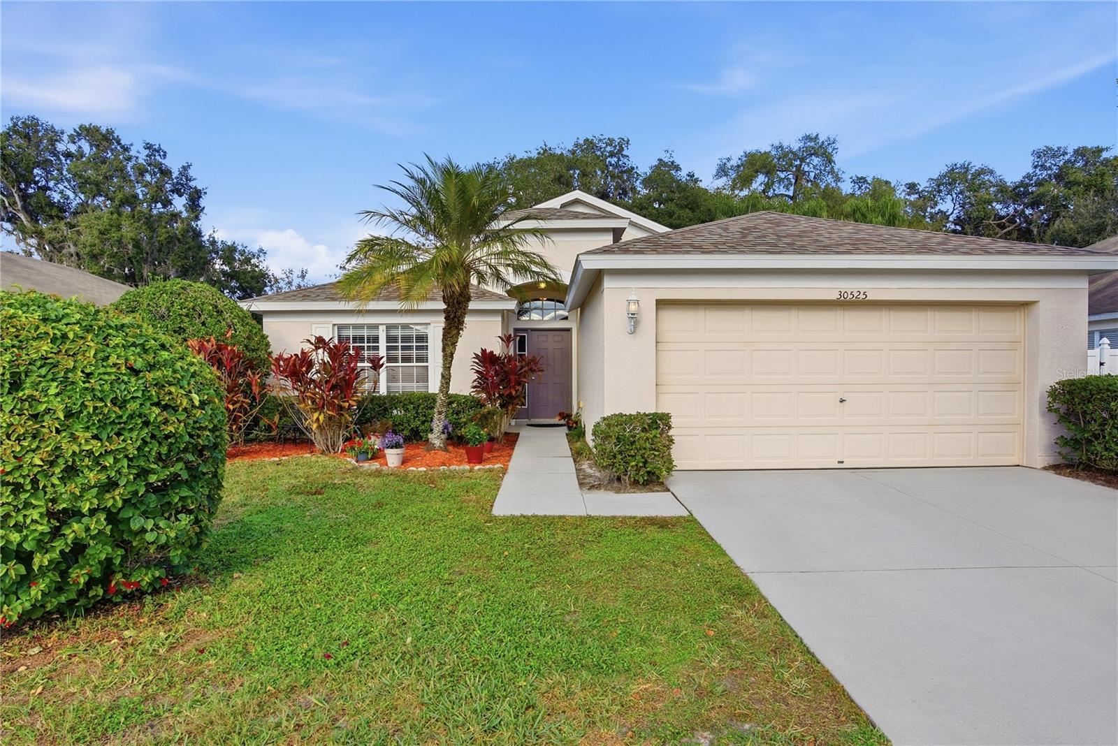 Details for 30525 Lanesborough Circle, WESLEY CHAPEL, FL 33543