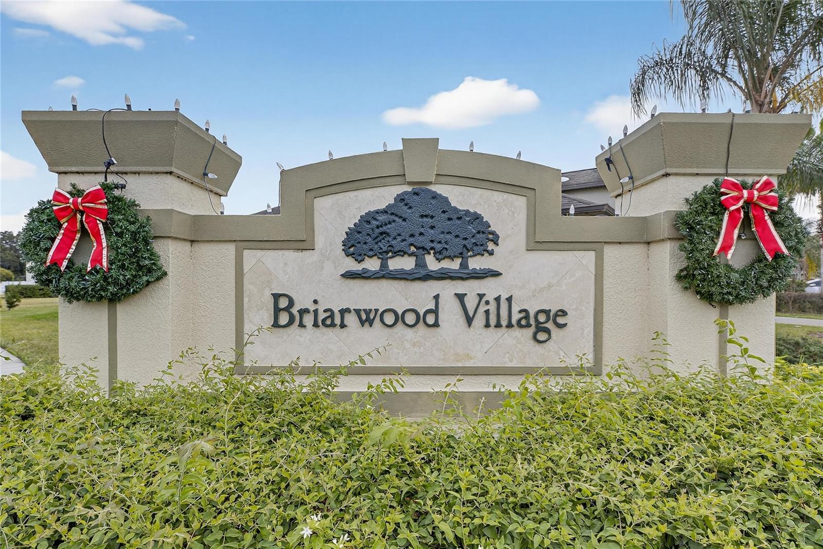 Listing photo id 26 for 20041 Satin Leaf Avenue