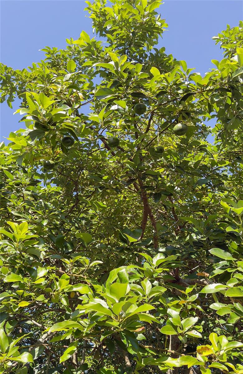 Image 43 of 48 For 1601 Idle Drive