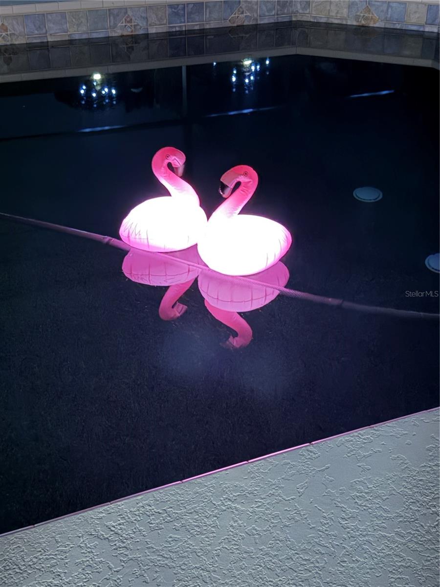 Image 63 of 65 For 87 Oakwood Drive