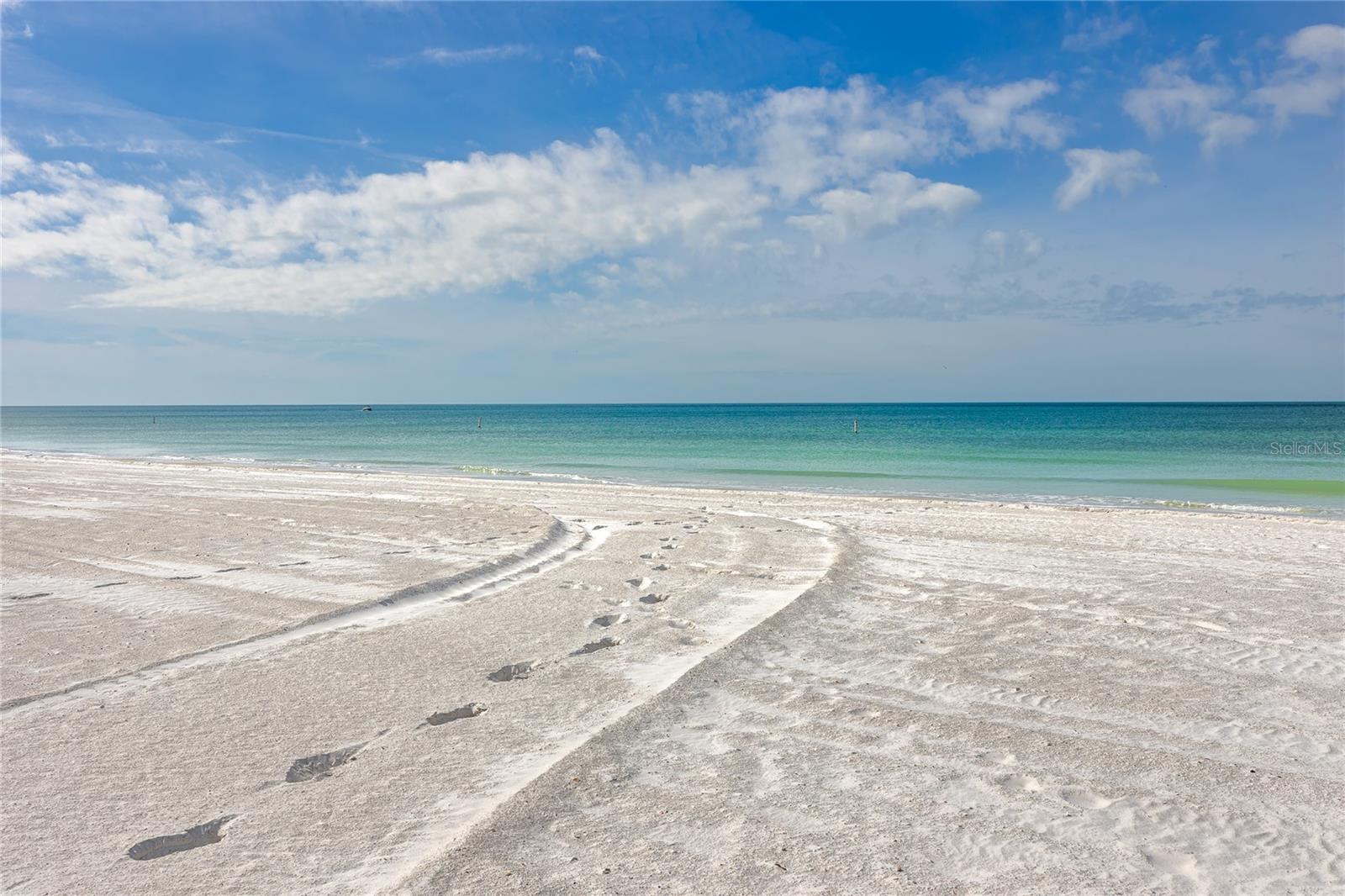 Image 49 of 57 For 1300 Gulf Boulevard 301