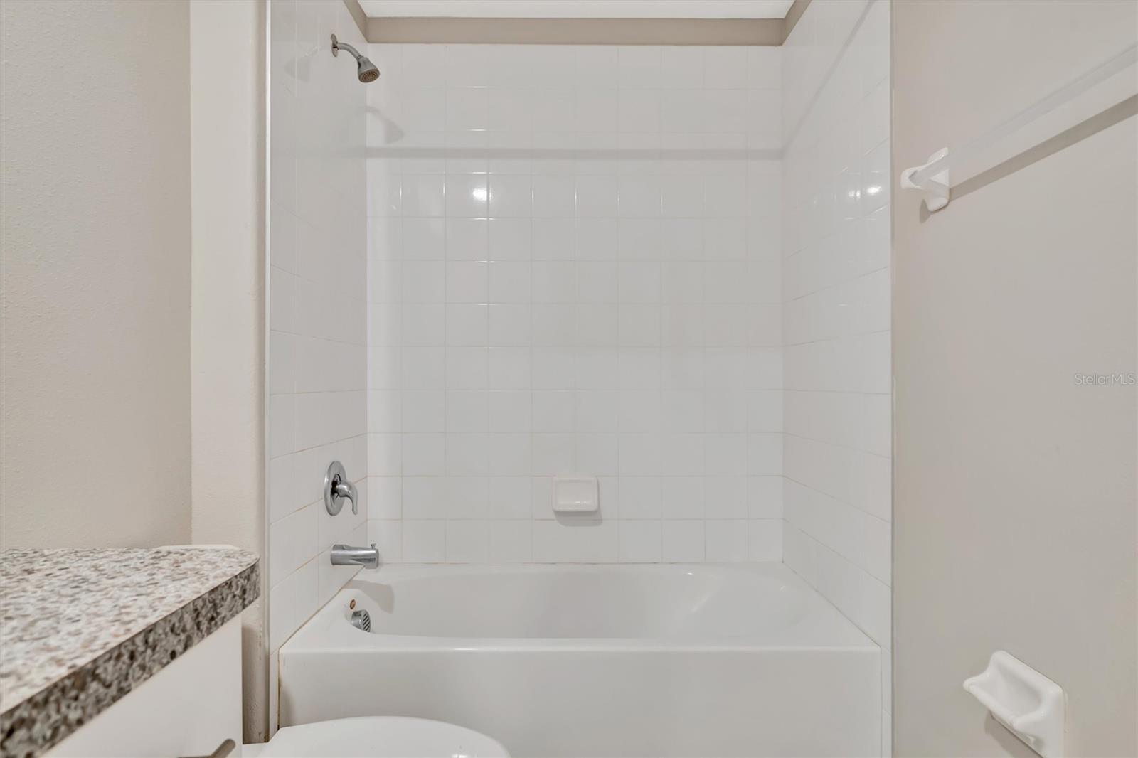 Image 37 of 46 For 607 Royal Empress Drive