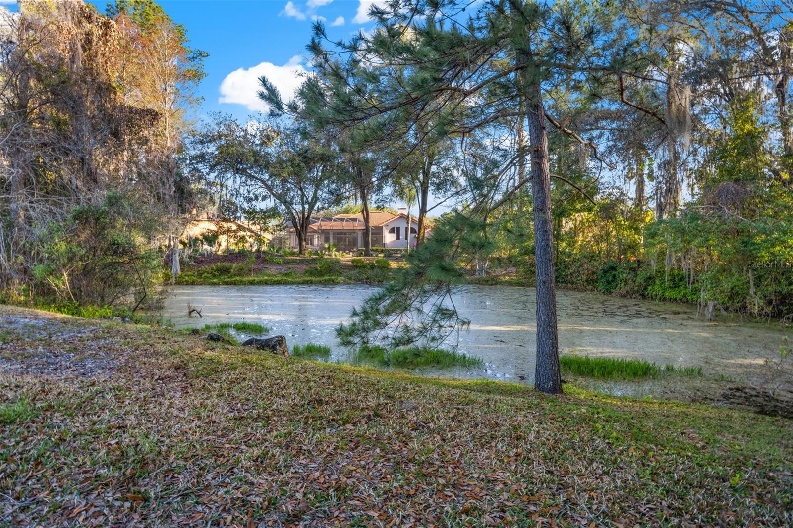 Image 48 of 52 For 6445 Renwick Circle