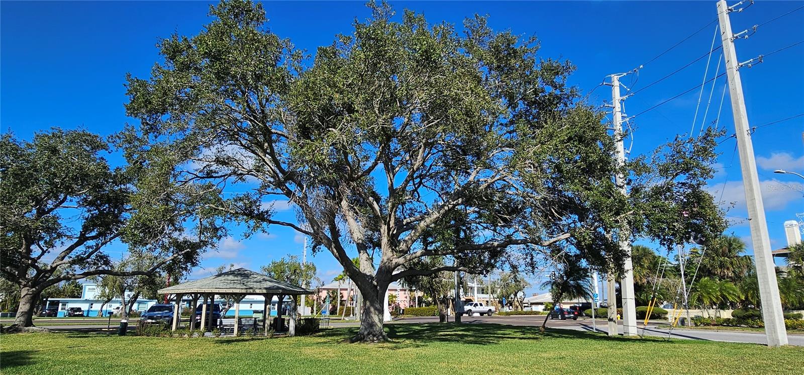 Image 31 of 32 For 10355 Paradise Boulevard 710