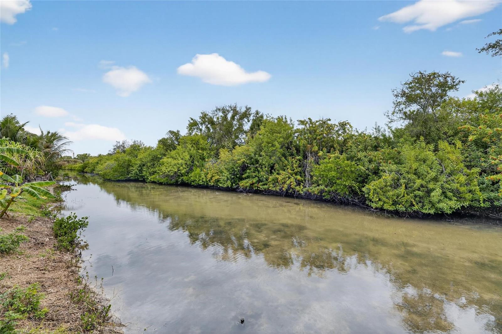 Image 45 of 57 For 140 Lookout Drive