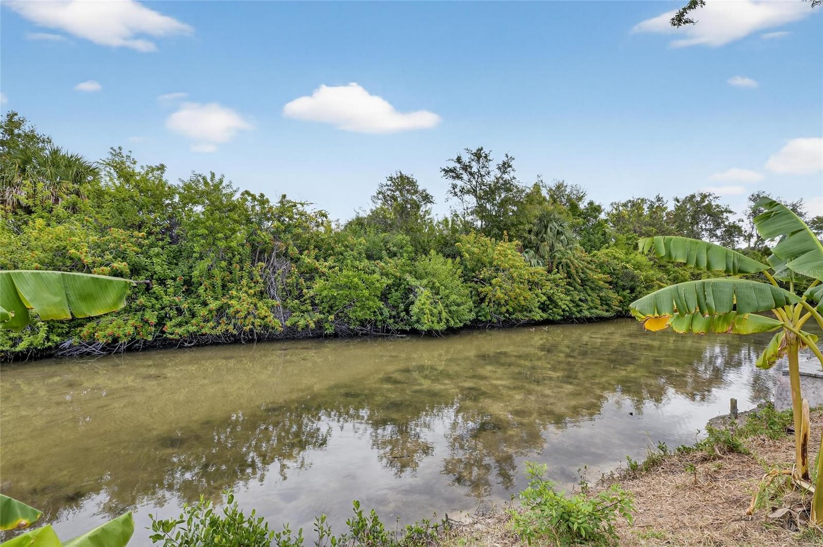 Image 50 of 57 For 140 Lookout Drive