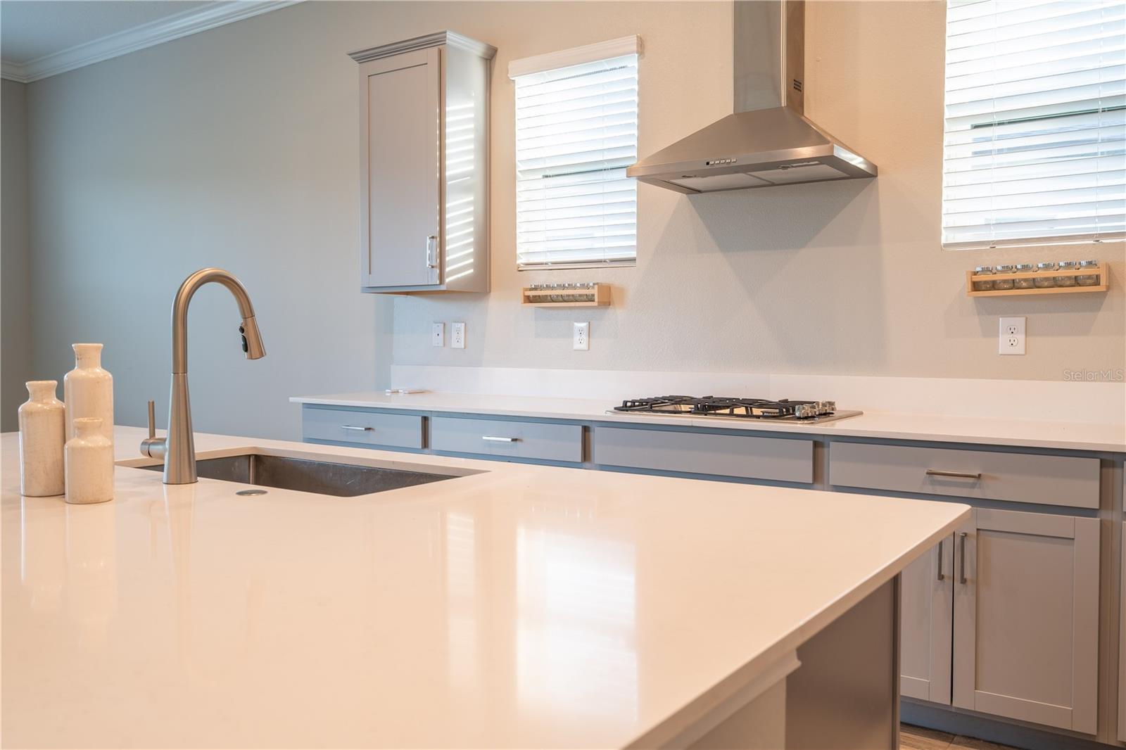 Image 17 of 43 For 21396 Snowy Orchid Terrace