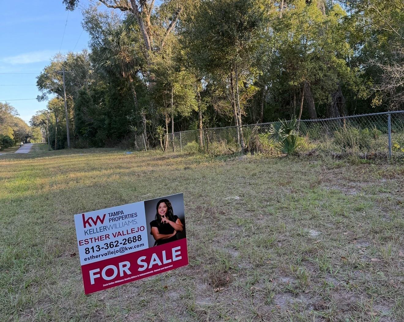 Listing photo id 0 for 16280 Palacky Street