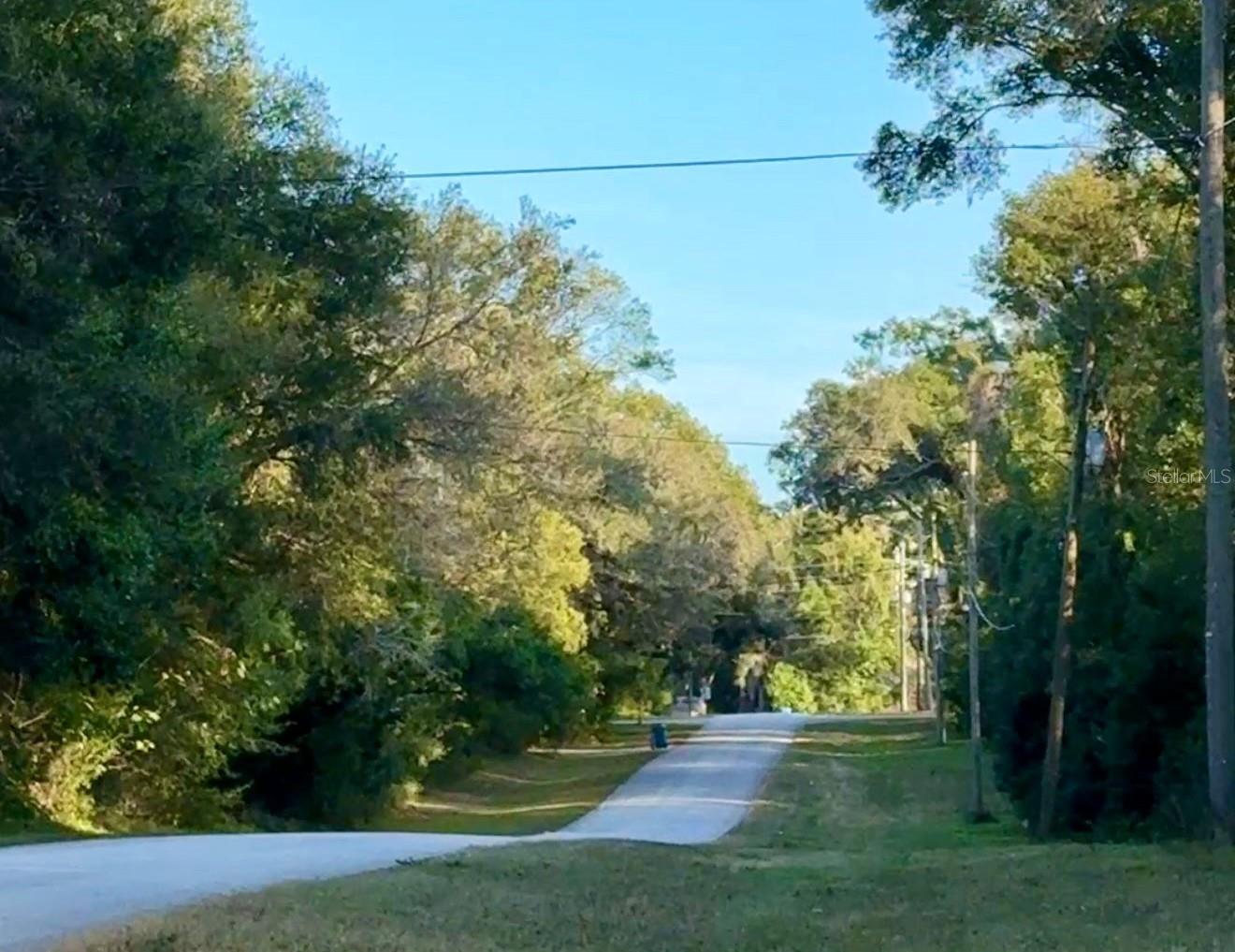 Listing photo id 4 for 16280 Palacky Street