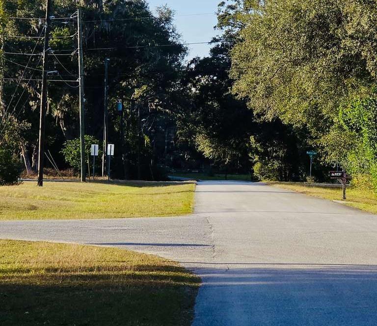 Listing photo id 5 for 16280 Palacky Street