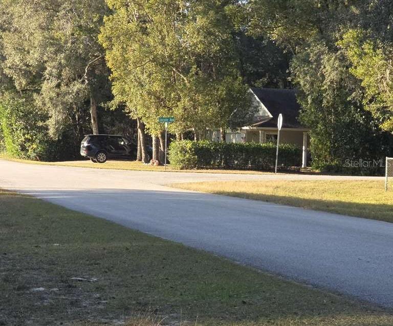 Listing photo id 6 for 16280 Palacky Street