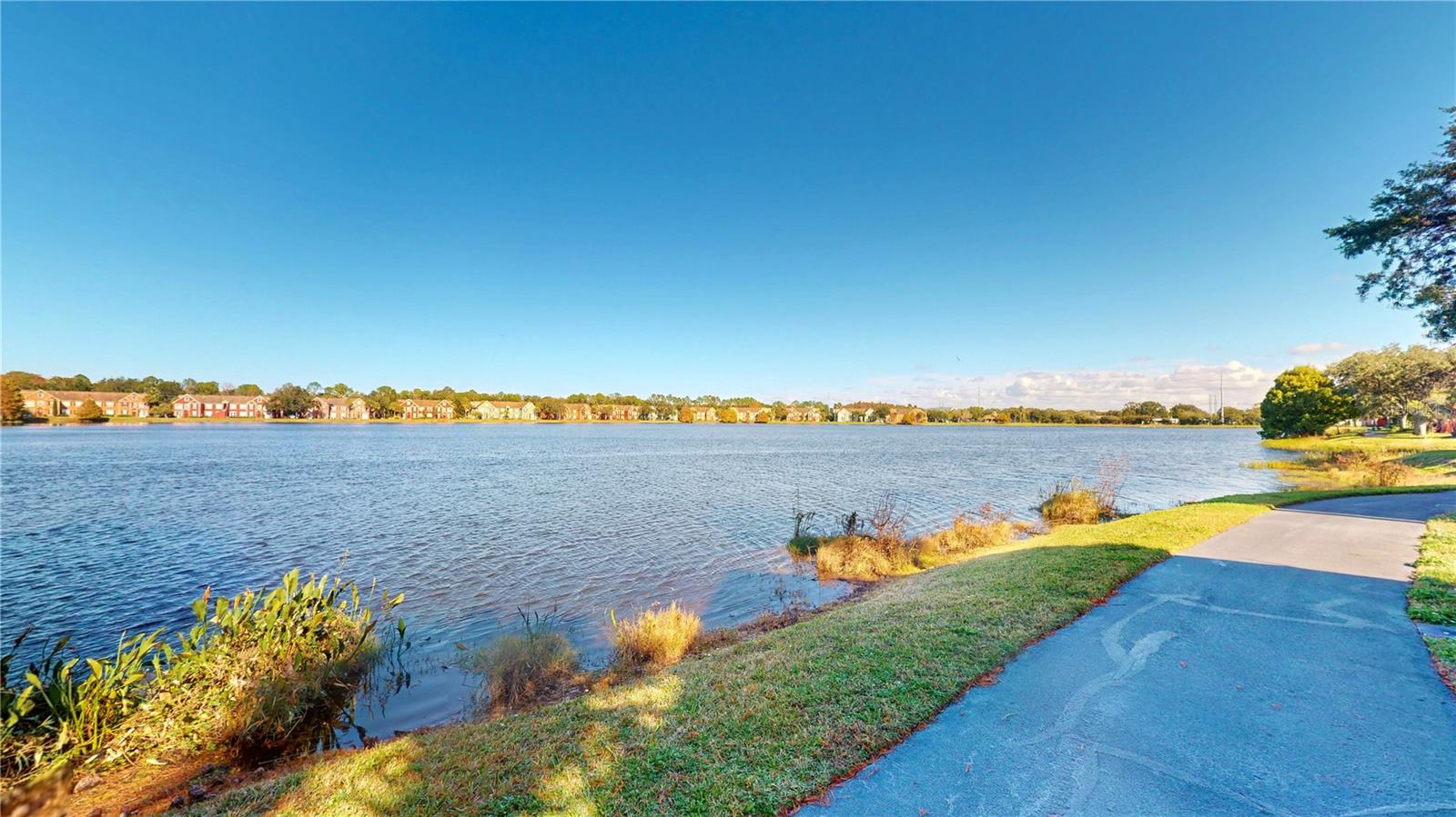 Image 49 of 49 For 9554 Lake Chase Island Way 9554