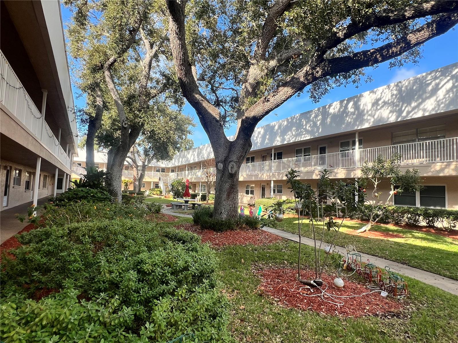 Image 20 of 30 For 10036 63rd Avenue N 22