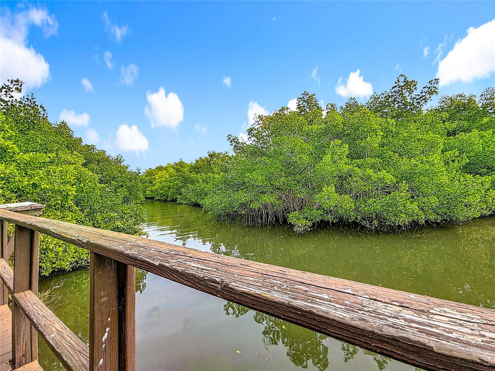 Image 34 of 43 For 502 Bough Avenue