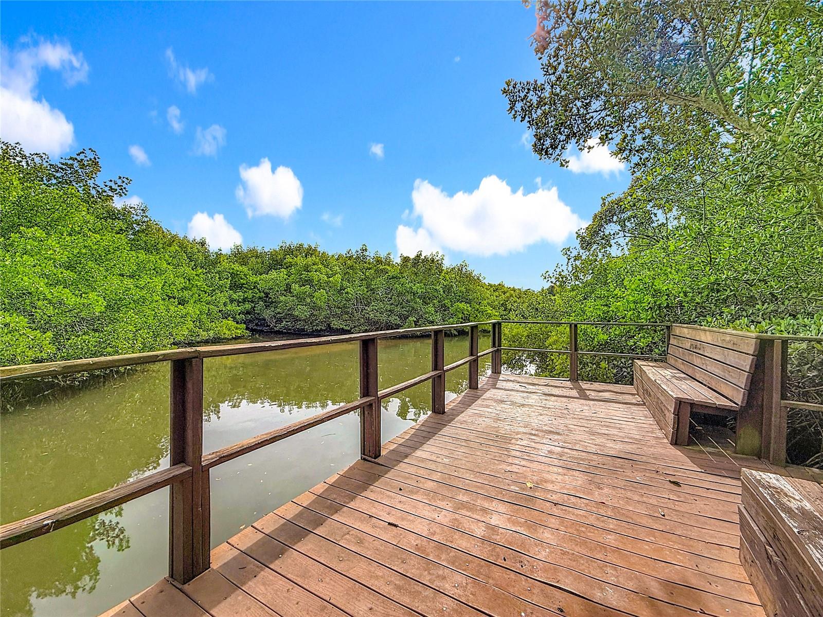 Image 35 of 43 For 502 Bough Avenue