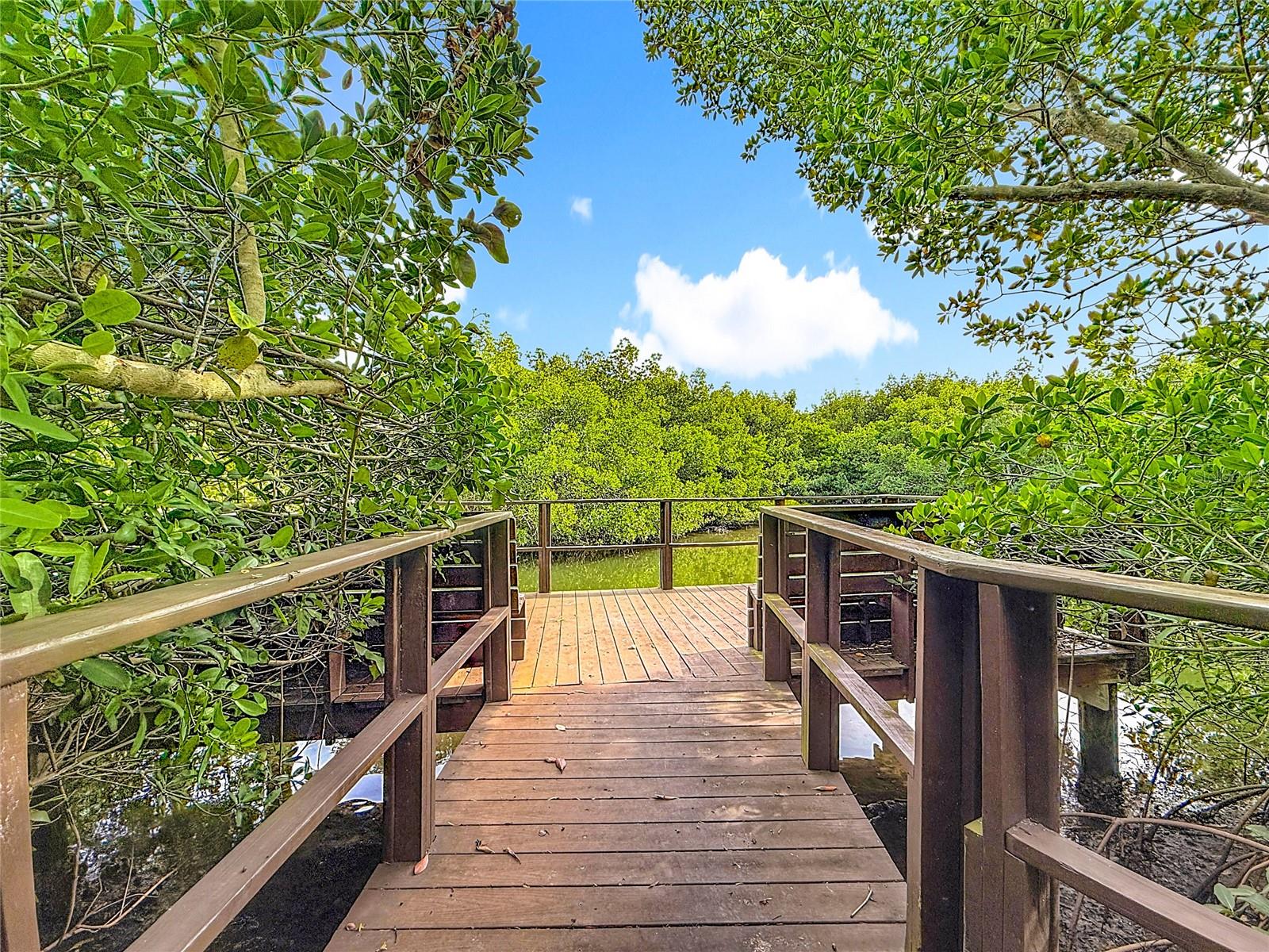 Image 36 of 43 For 502 Bough Avenue