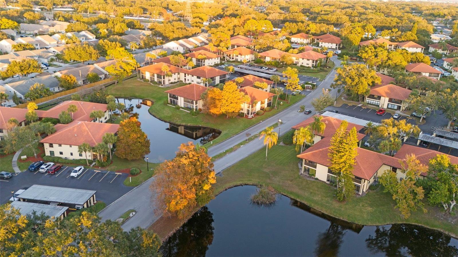 Image 10 of 42 For 1808 Hammock Pine Boulevard 1808
