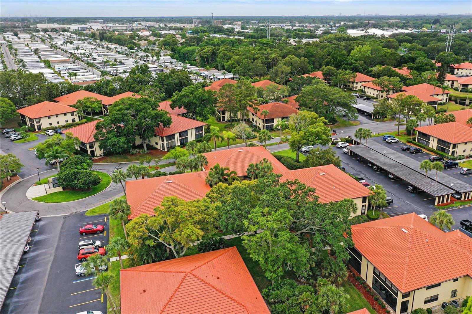 Image 34 of 42 For 1808 Hammock Pine Boulevard 1808