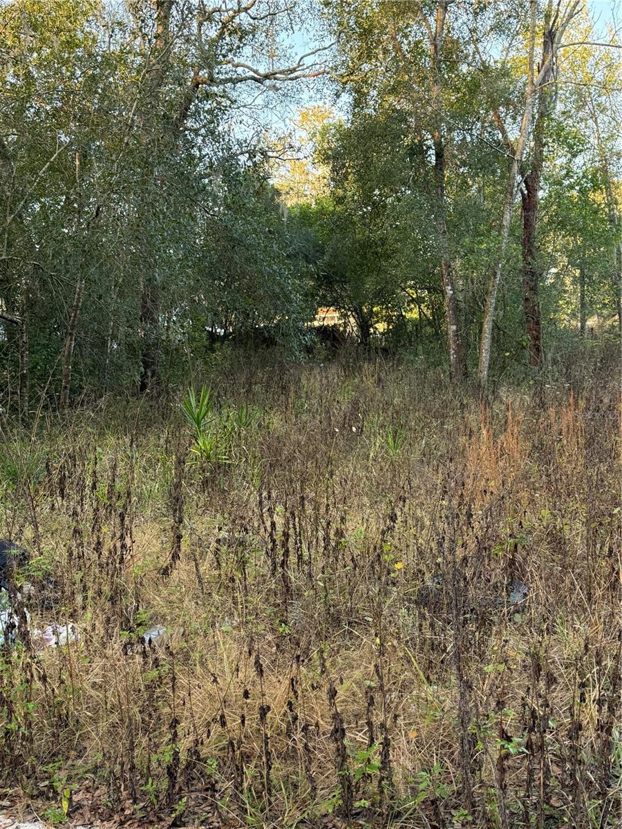 Details for 9411 Kissimmee Street, NEW PORT RICHEY, FL 34654