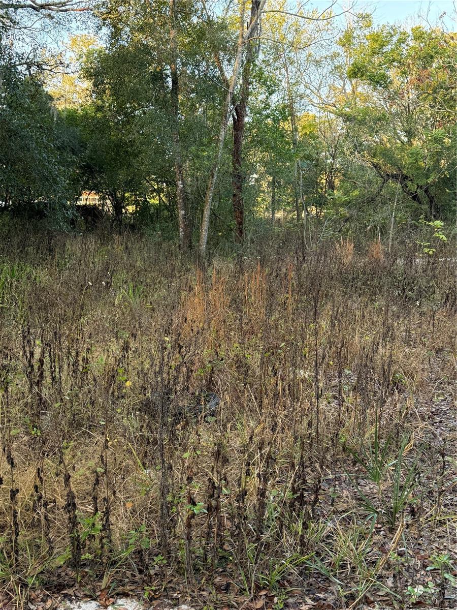 Image 2 of 2 For 9411 Kissimmee Street