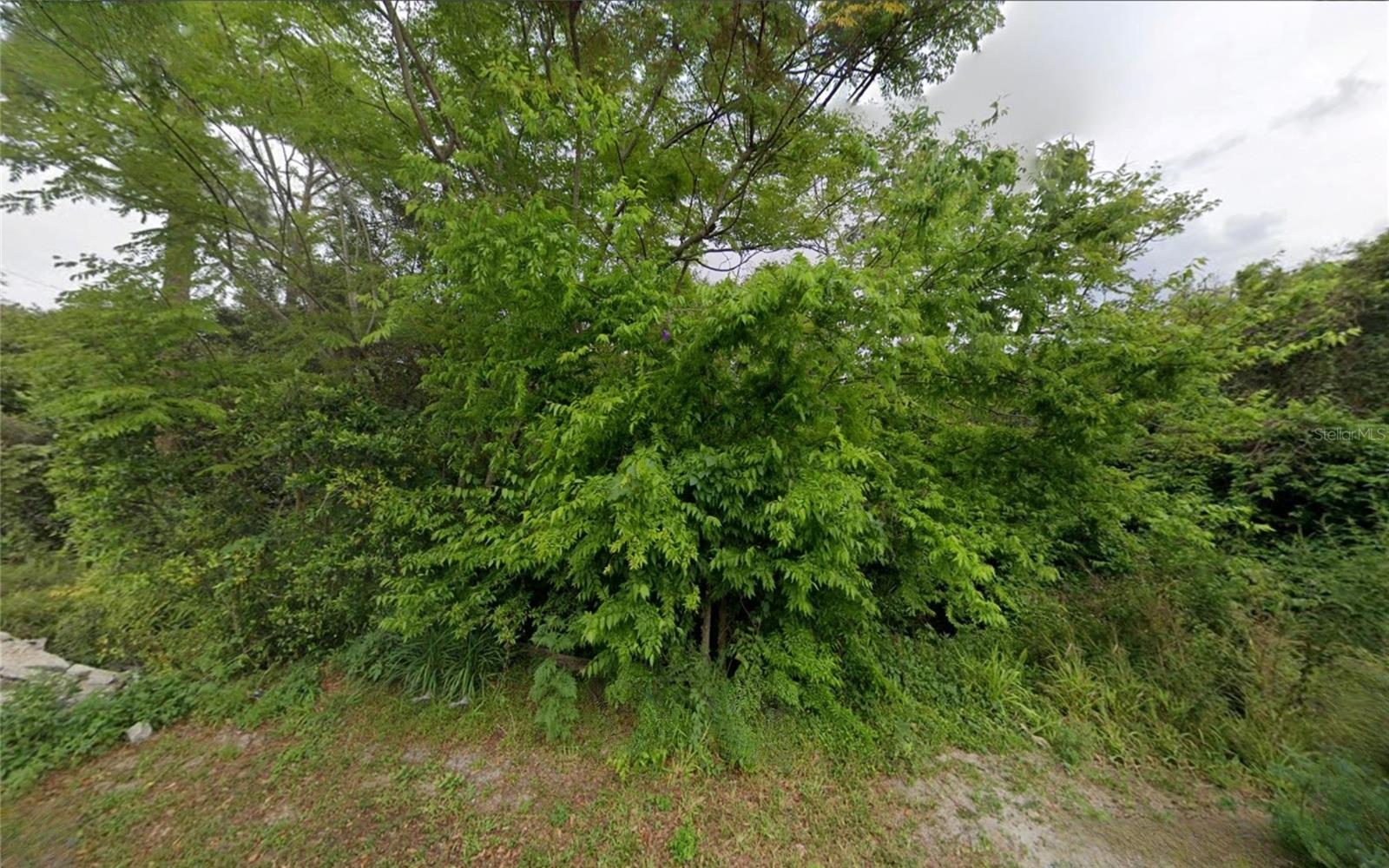 Image 2 of 2 For 221 Agua Vista Street