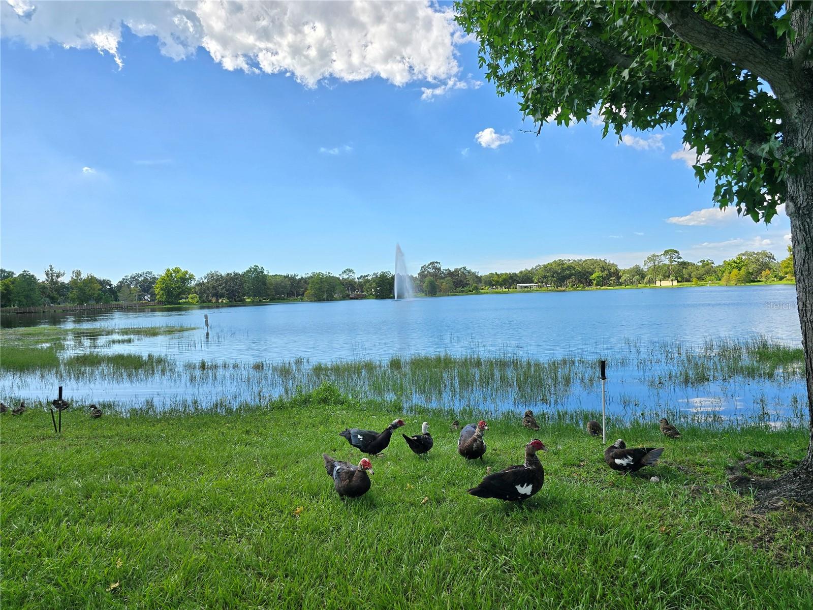 Image 59 of 67 For 514 Brandon Avenue