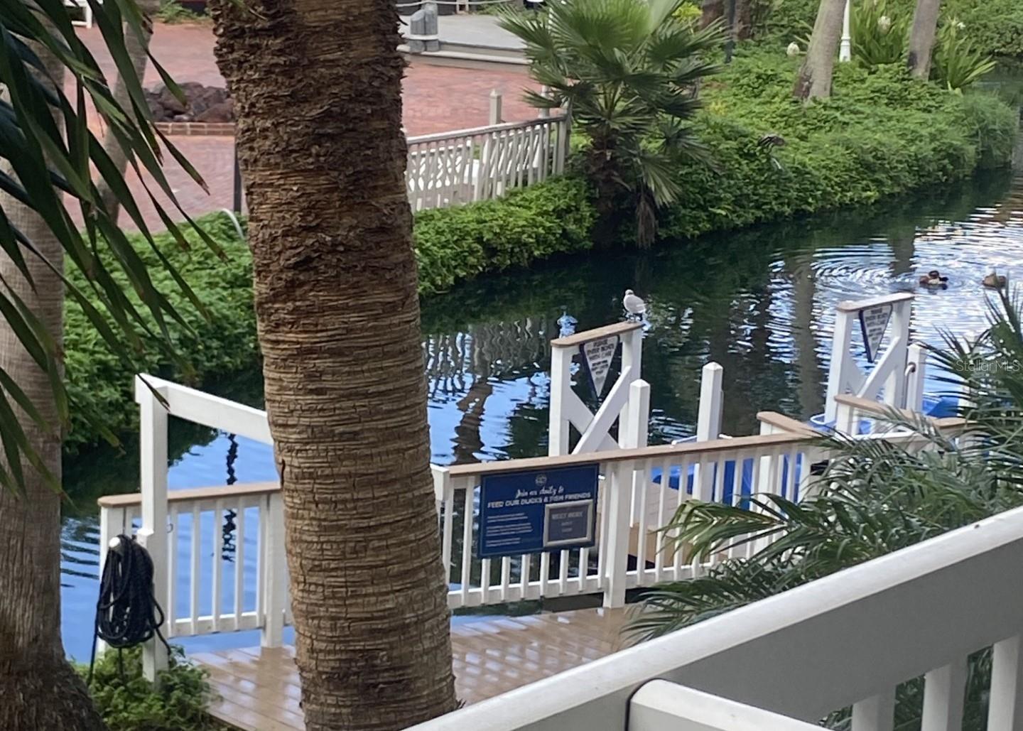 Image 2 of 41 For 5500 Gulf Boulevard 2241