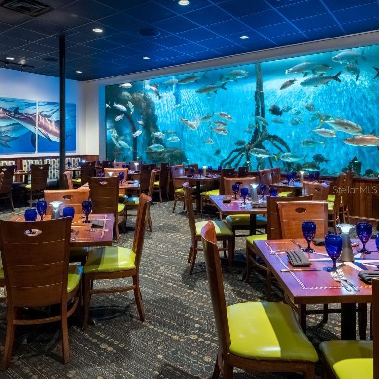 Image 31 of 41 For 5500 Gulf Boulevard 2241