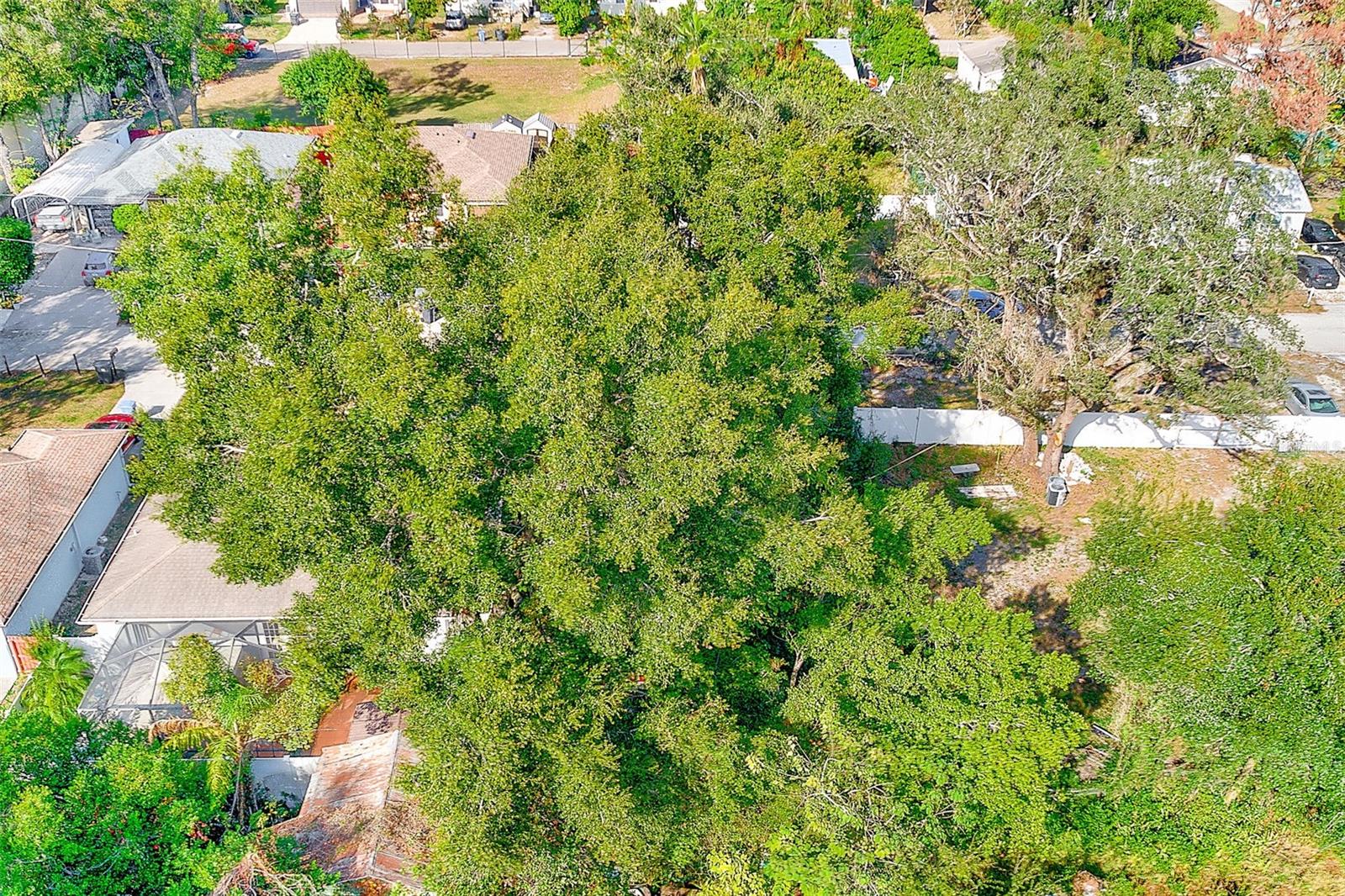 Image 8 of 9 For 703 Hoffman Boulevard