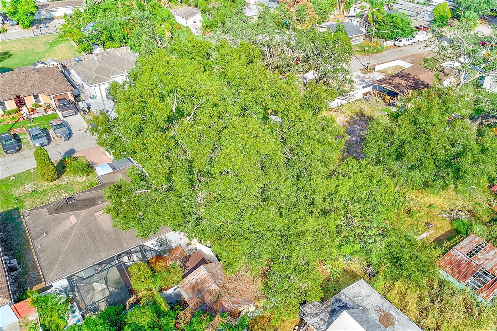 Image 9 of 9 For 703 Hoffman Boulevard