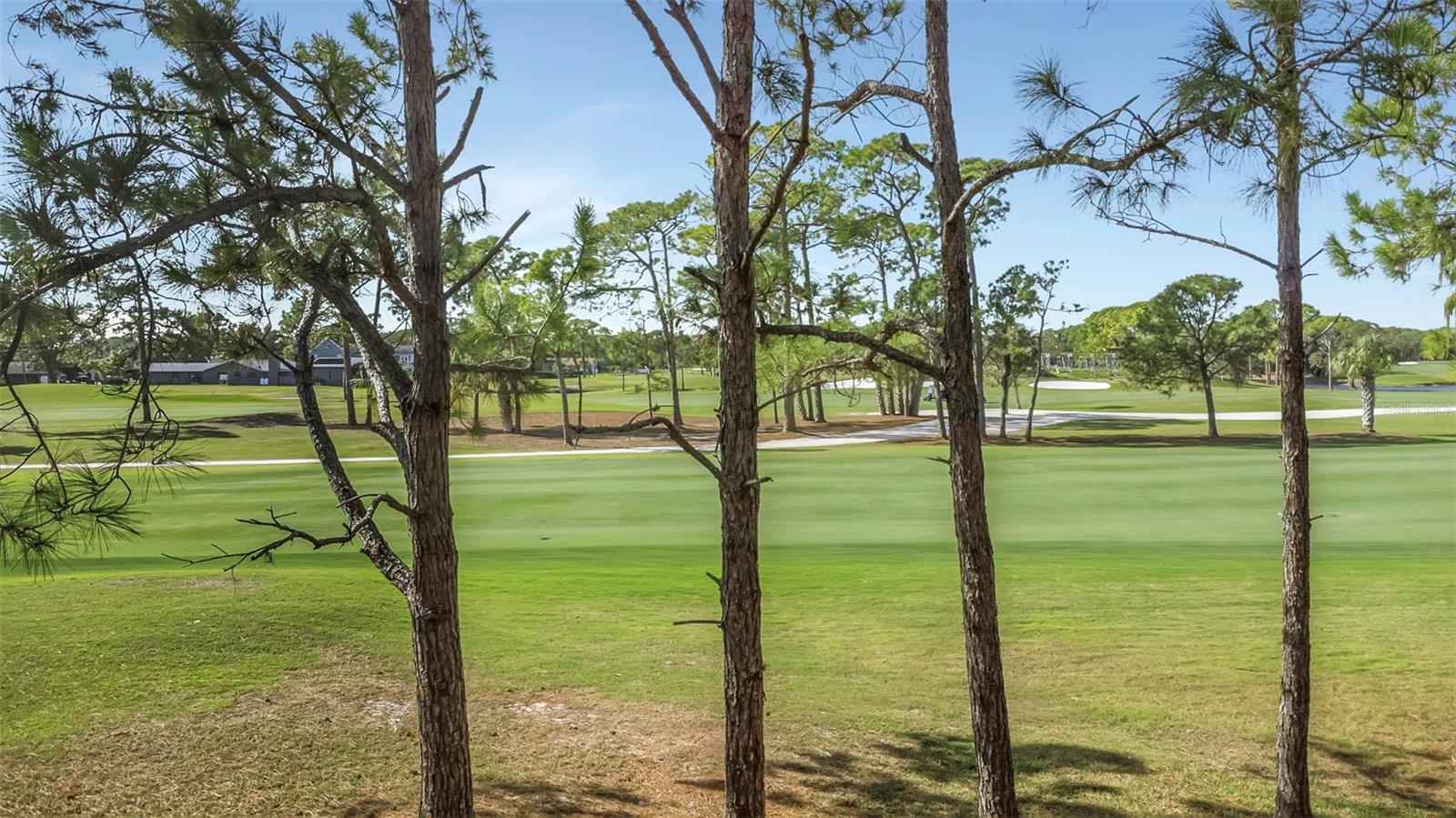 Image 28 of 36 For 2400 Feather Sound Drive 423