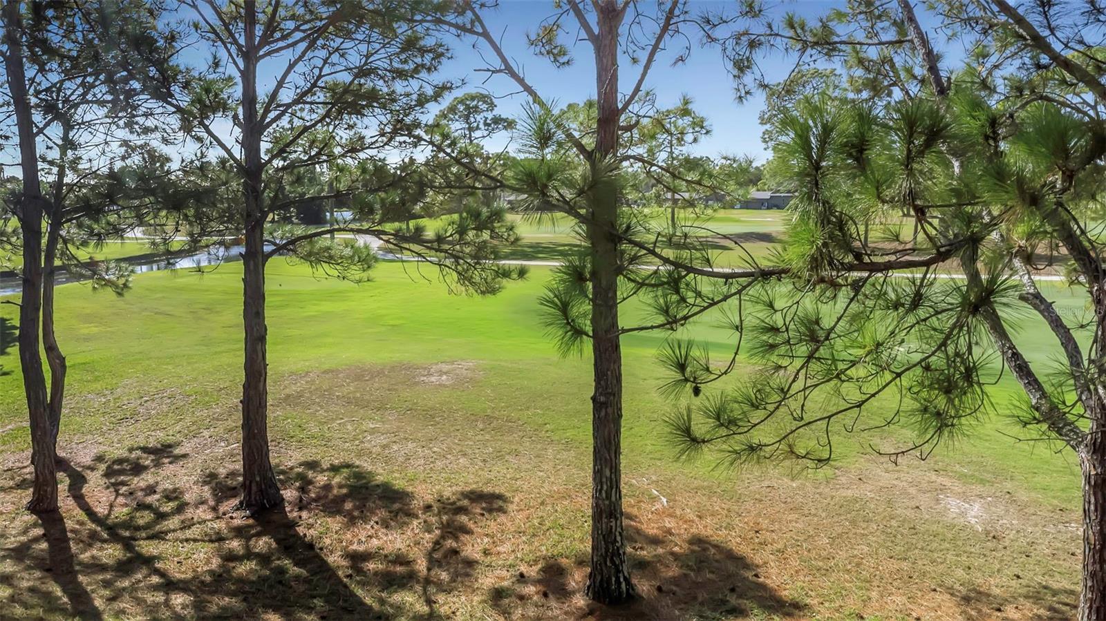 Image 29 of 36 For 2400 Feather Sound Drive 423