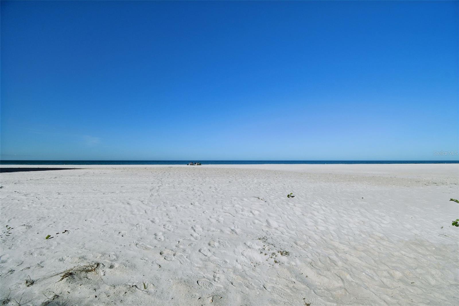 Image 9 of 47 For 1586 Gulf Boulevard 2502