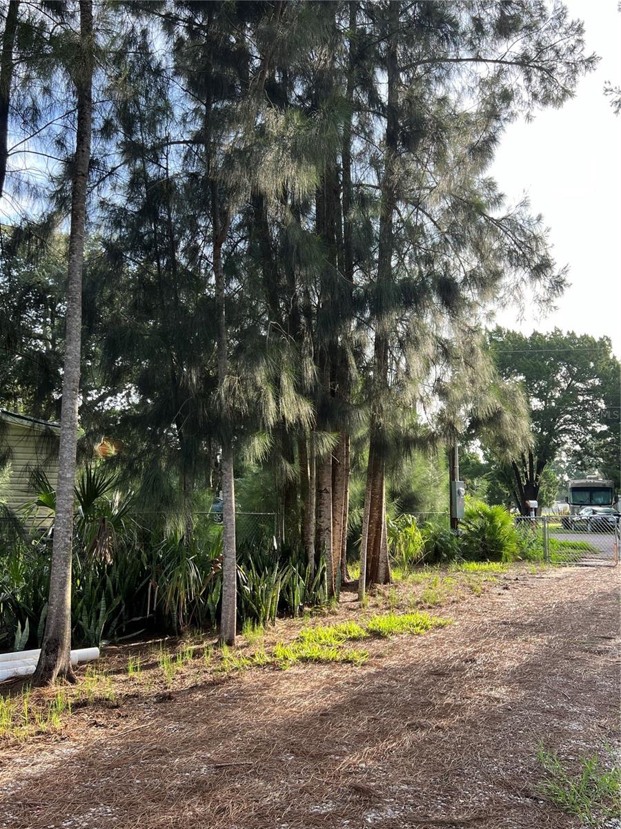 Listing photo id 12 for 14633 Williams Lane