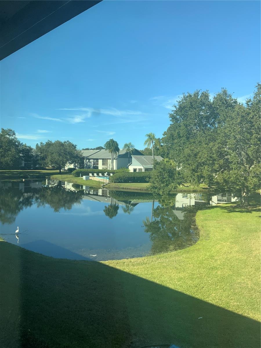 Image 8 of 29 For 11201 122nd Avenue 138