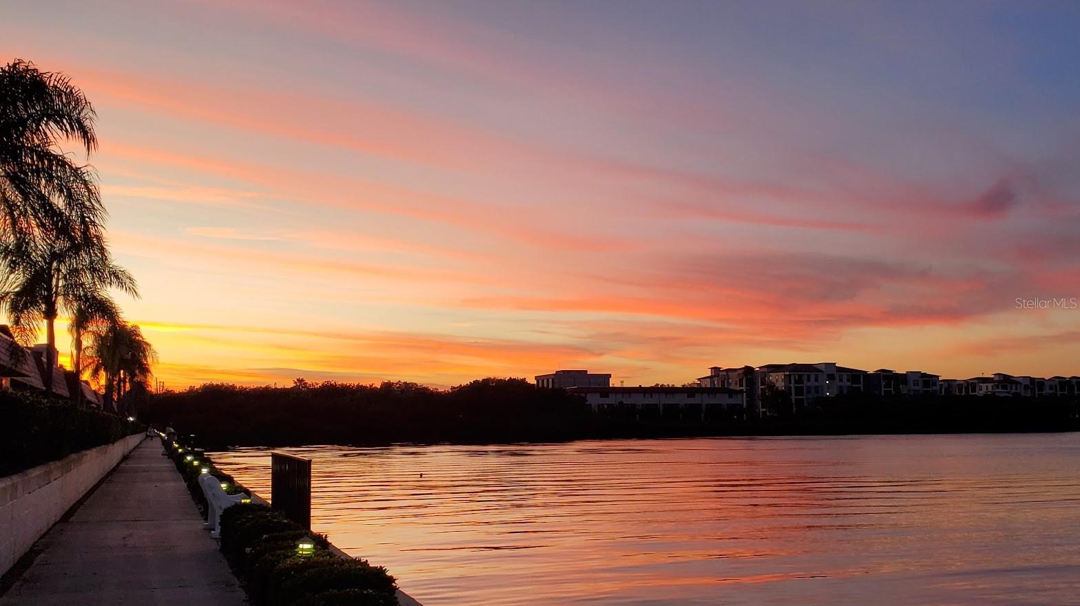 Details for 19029 Us Highway 19 N 28b, CLEARWATER, FL 33764